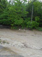 с. Андреевка Рыбницкого района (фото депутата В. Куницкого)