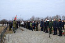 фото - dubossary.ru