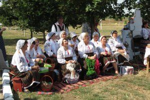 grig-admin.idknet.com