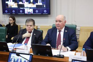 Пресс-служба Совета Федерации Федерального Собрания РФ 