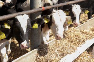 president.gospmr.org