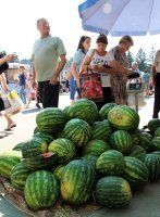 Фото: ТПП ПМР