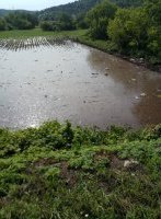 с.Ержово (фото депутата ВС ПМР В.Кравчука)