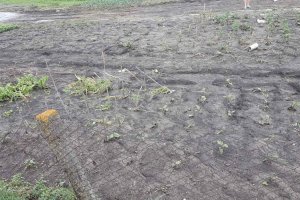 с.Красненькое (фото депутата ВС ПМР В. Куницкого)